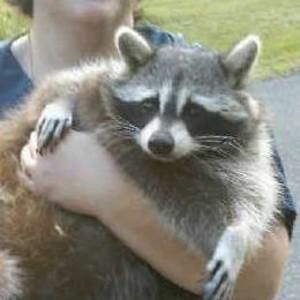 Meet your Posher, Pattie